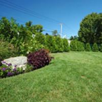 W L Williams Landscaping image 2